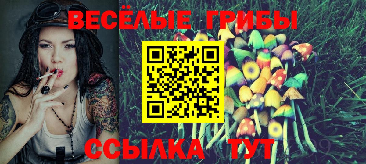 Вышний Волочёк  Псилоцибиновые грибы Cubensis  Галлюциногенные грибы GOLDEN TEACHER  Вход с VPN 